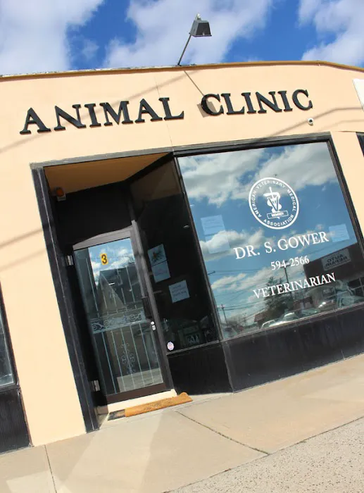 Woods Avenue Animal Clinic Picture 3