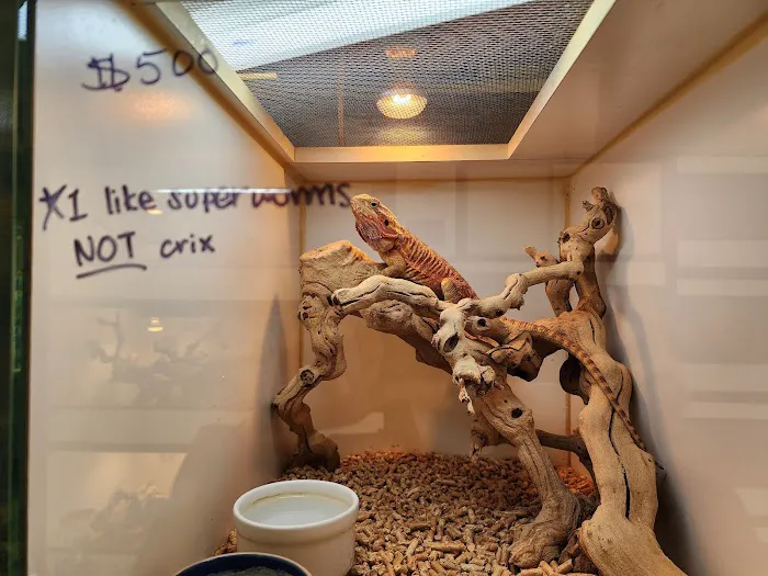 Amazon Reptile Center Picture 1