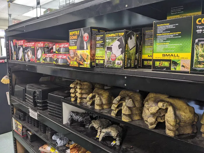 Amazon Reptile Center Picture 2