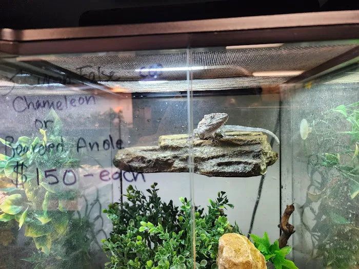 Amazon Reptile Center Picture 3