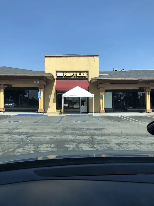 Amazon Reptile Center Picture 4