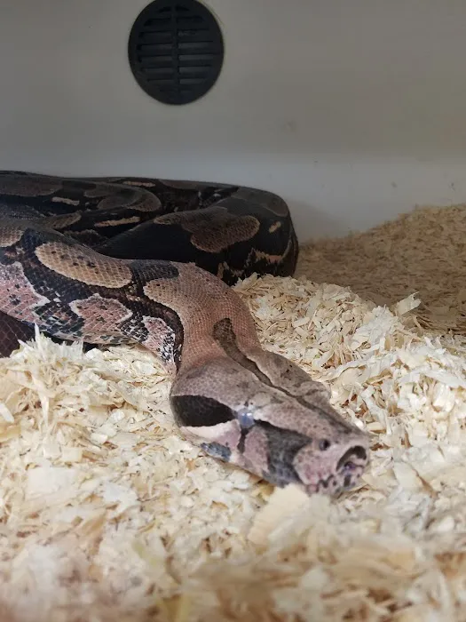 Amazon Reptile Center Picture 8