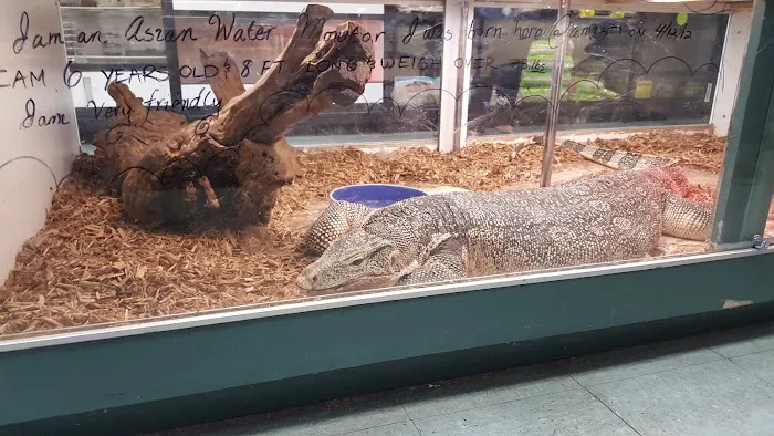 Amazon Reptile Center Picture 10
