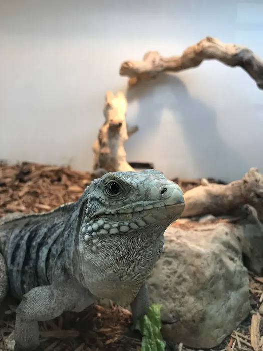 Amazon Reptile Center Picture 6