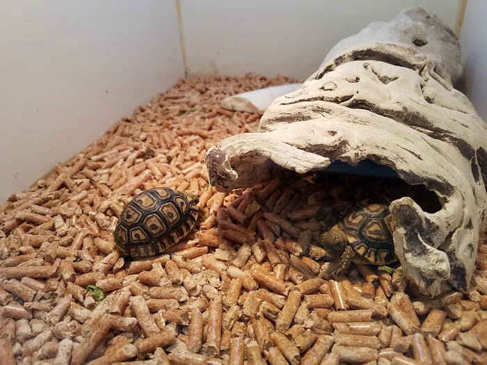 Amazon Reptile Center Picture 9