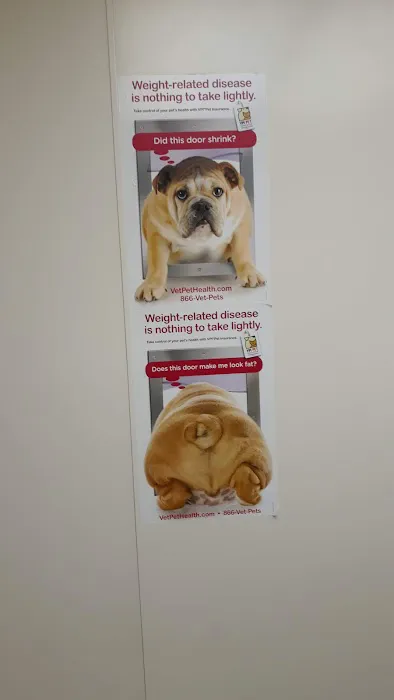 Oceanside Veterinary Hospital Picture 9