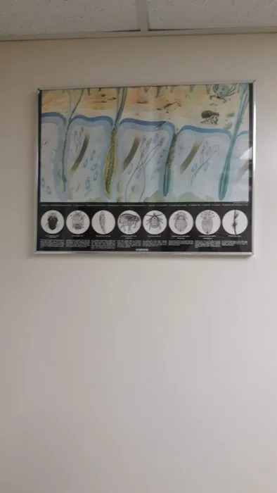 Oceanside Veterinary Hospital Picture 8