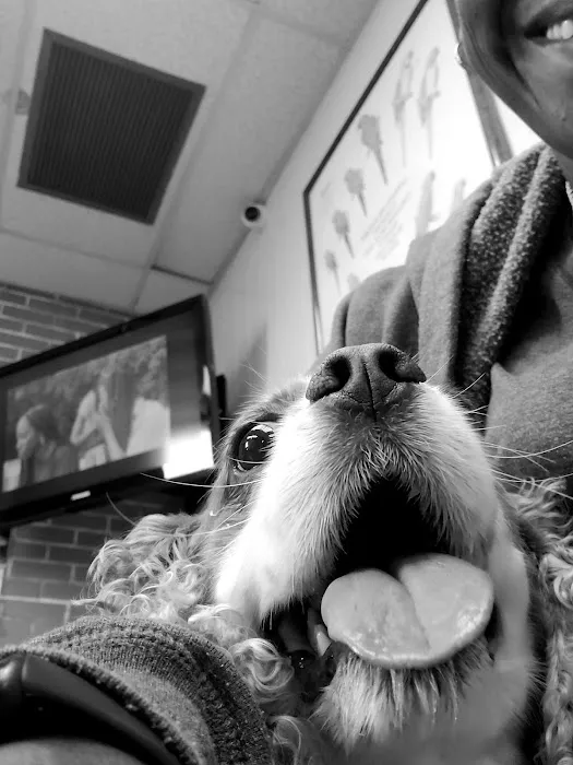 Oceanside Veterinary Hospital Picture 2