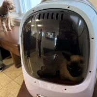 Sunrise Animal Hospital ico