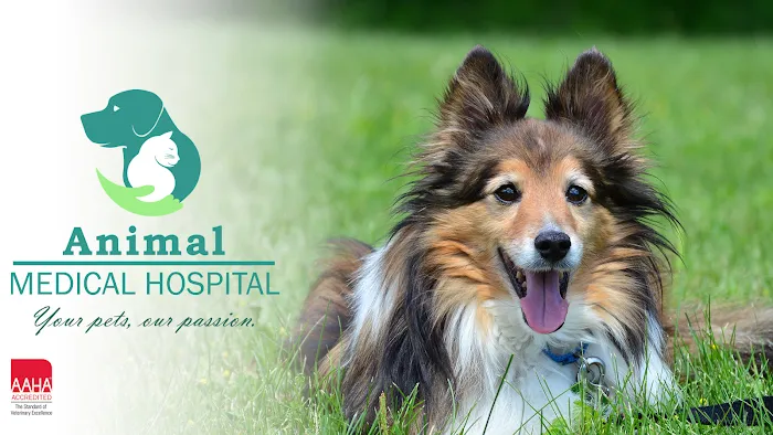 Animal Medical Hospital Picture 10