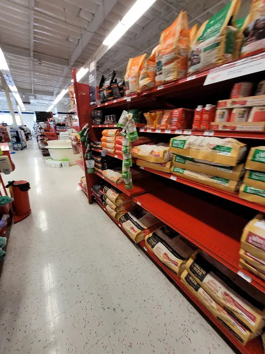 Petco Picture 10