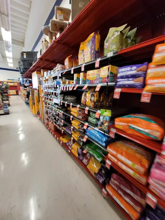 Petco Picture 7