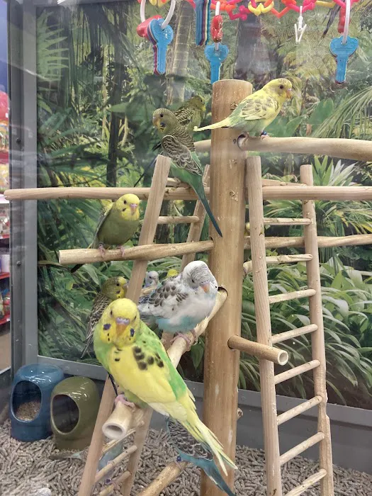 Petco Picture 9