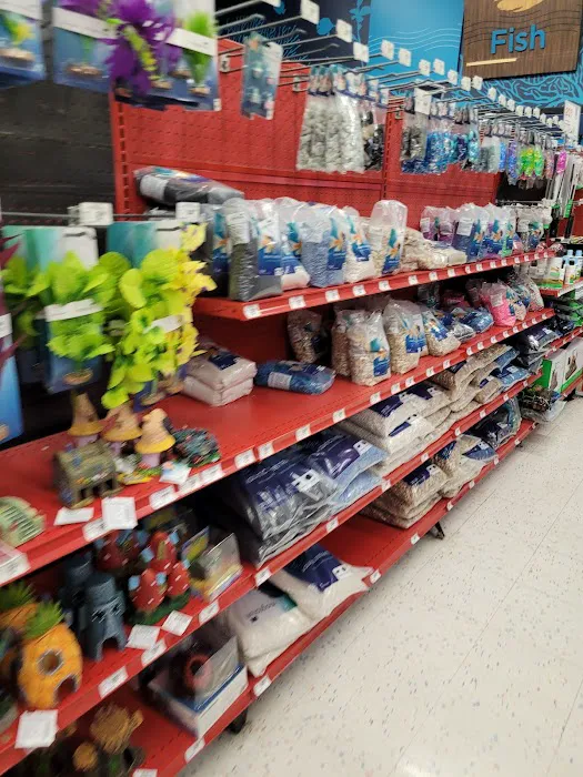 Petco Picture 4