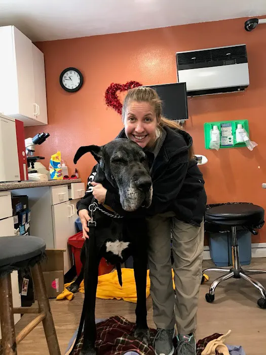 Garden City Park Animal Hospital Picture 9