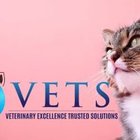 The Cat Doctor ico
