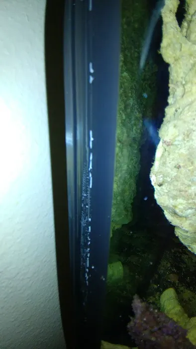 aquarium masters Picture 1