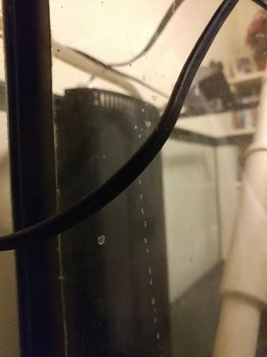 aquarium masters Picture 4