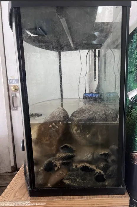 Mk Aquarium Services Picture 1