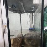 Mk Aquarium Services