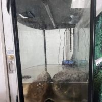 Mk Aquarium Services ico