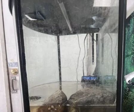 Mk Aquarium Services