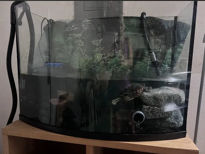 Mk Aquarium Services Picture 2