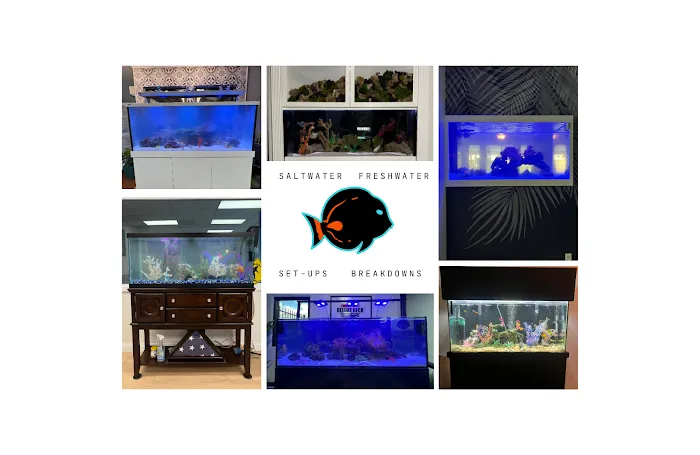 Mk Aquarium Services Picture 10