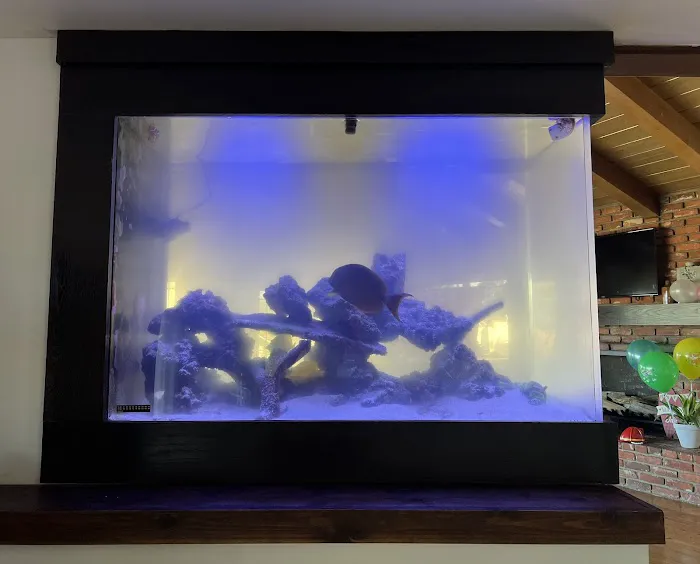 Mk Aquarium Services Picture 8