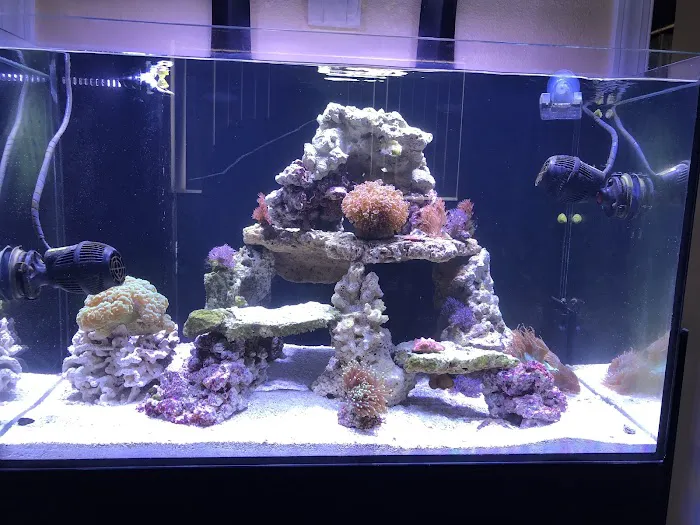 Mk Aquarium Services Picture 6