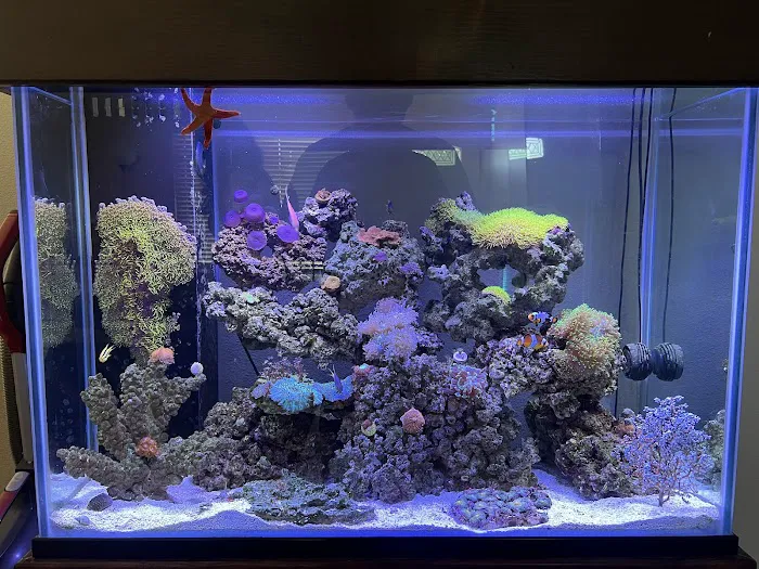 Mk Aquarium Services Picture 4