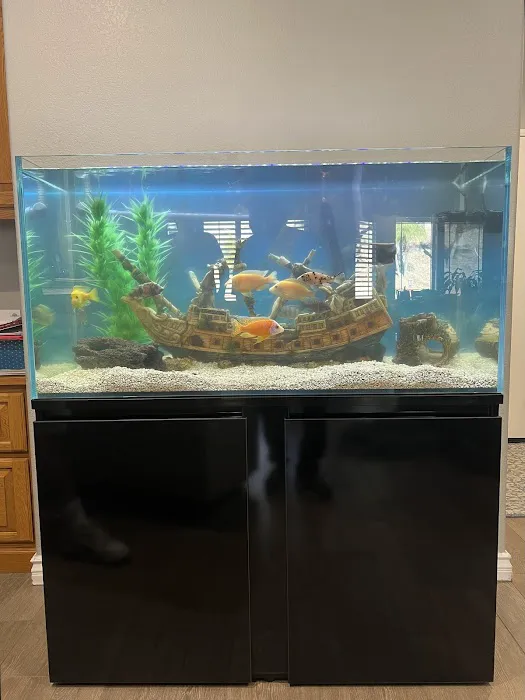 Mk Aquarium Services Picture 7