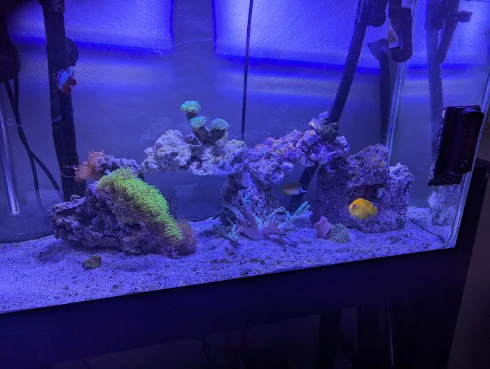 Mk Aquarium Services Picture 5