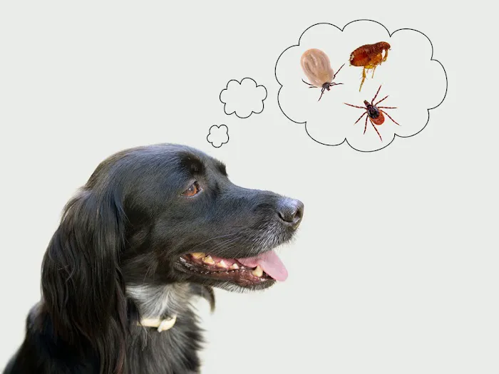 Garden City Veterinary Care Picture 7