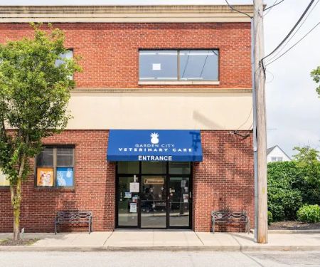 Garden City Veterinary Care