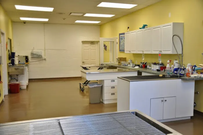 Garden City Veterinary Care Picture 8