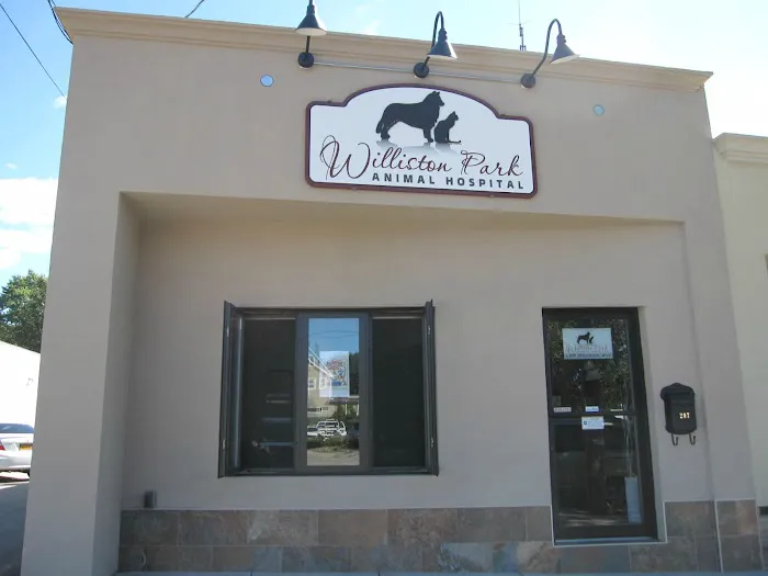 Williston Park Animal Hospital - Rehab & Acupuncture Picture 5