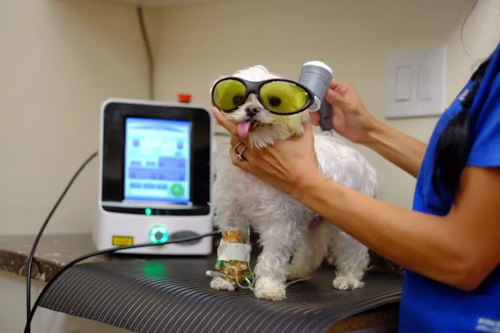 Mineola Animal Hospital Picture 10