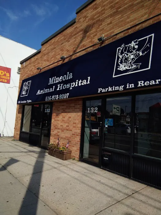 Mineola Animal Hospital Picture 7