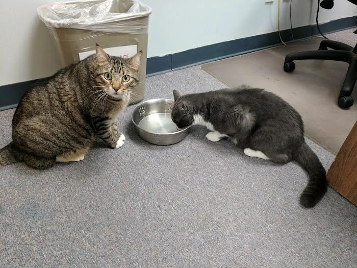 Mineola Animal Hospital Picture 1