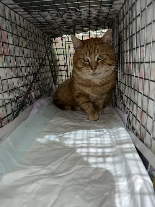 Halo Veterinary Hospital Picture 3