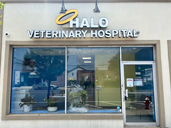Halo Veterinary Hospital Picture 5