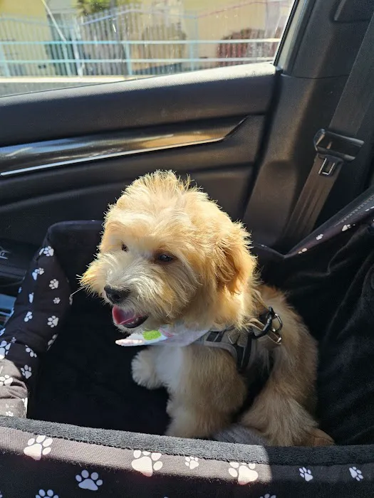 Petco Picture 5