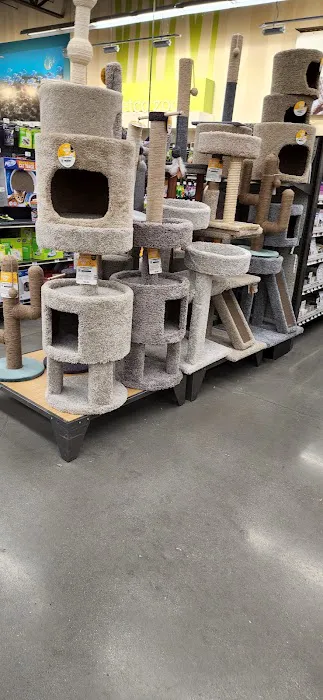 Petco Picture 8