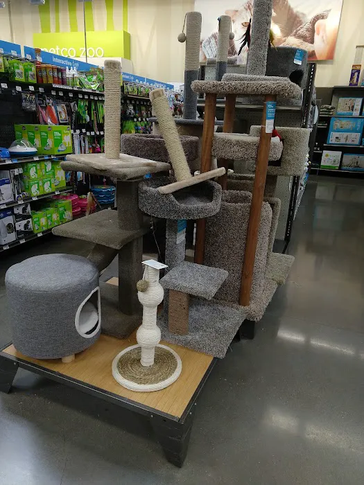 Petco Picture 4