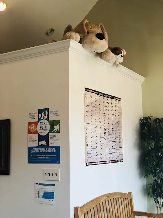 Premier Veterinary Medical Group - Mineola Picture 6
