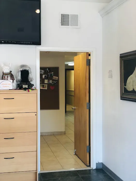 Premier Veterinary Medical Group - Mineola Picture 1