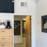 Premier Veterinary Medical Group - Mineola ico