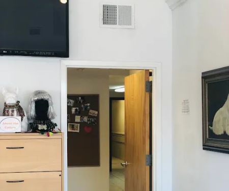 Premier Veterinary Medical Group - Mineola