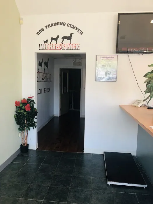 Premier Veterinary Medical Group - Mineola Picture 4